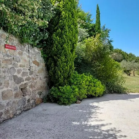 De Trépeloup *