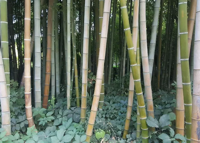 De Trepeloup Apartment *